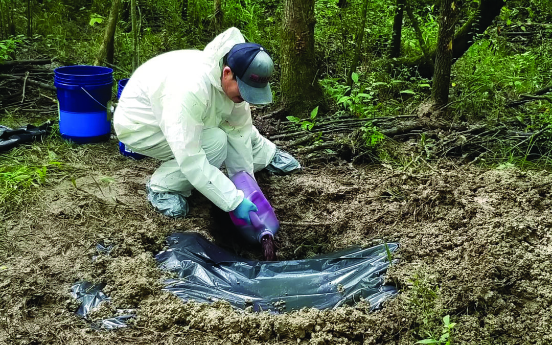 Supplemental Remedial Investigation at Camp Sibert