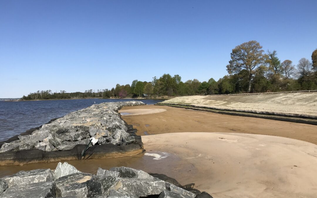 Belle Isle State Park Living Shoreline Engineering Support